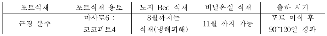 갯잔디의 포트식재 및 관리