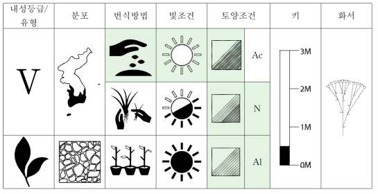 갯장구채의 특성표