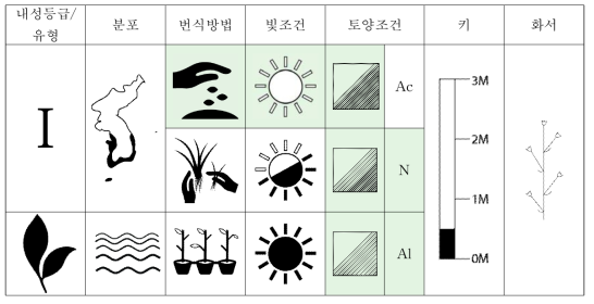 갯질경의 갯질경의 특성표