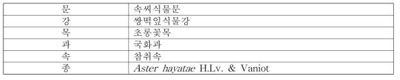 눈개쑥부쟁이의 식물분류학적 분류