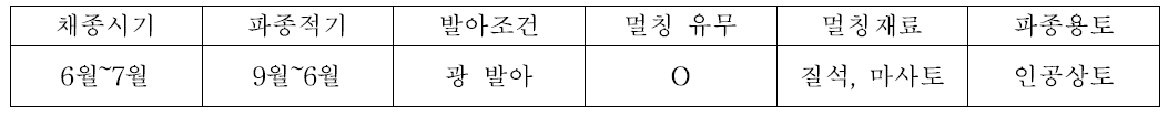 대나물의 종자번식