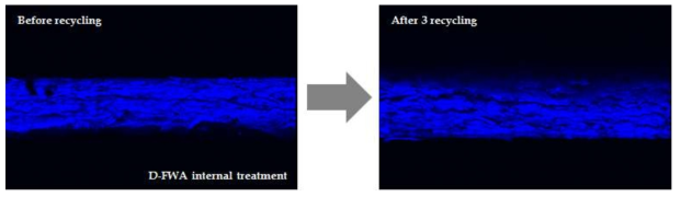 . CLSM images of D-FWA existing in handsheets before and after 3 recycling.