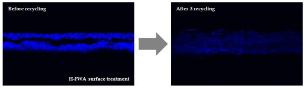 CLSM images of H-FWA existing in handsheets before and after 3 recycling.