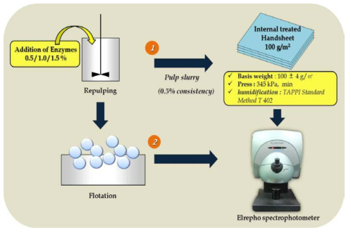 Flow diagram of the experiment for disintegration and flotation treatments with surfactant.