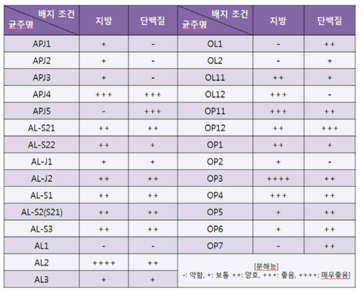 분리균주들의 단백질 및 지방 분해능 평가