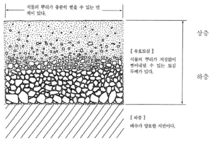 식재기반의 단면 모식도