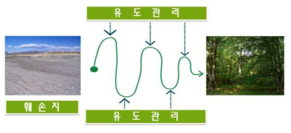 유도관리의 기본 원칙