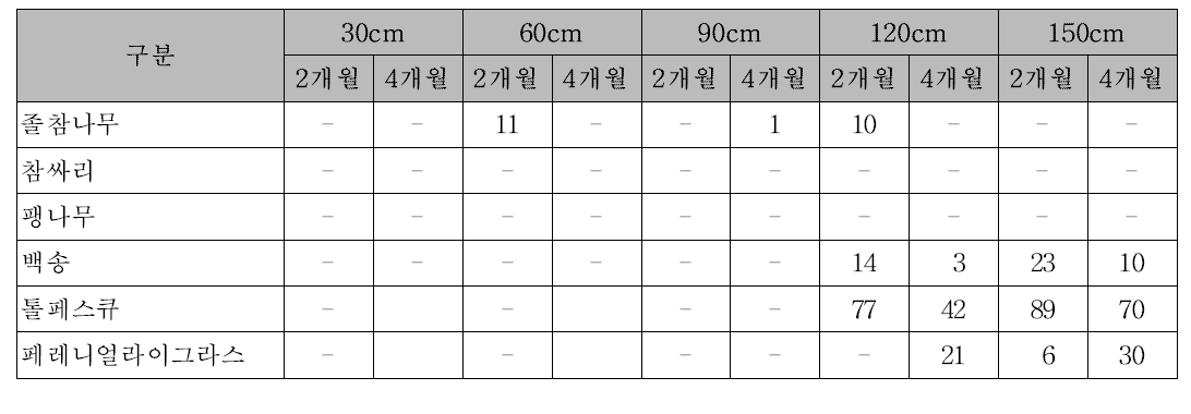 표토 집적깊이별 매토종자 발아현황