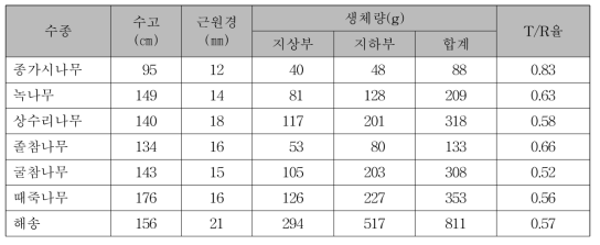 4L 컨테이너 수목의 생장상황