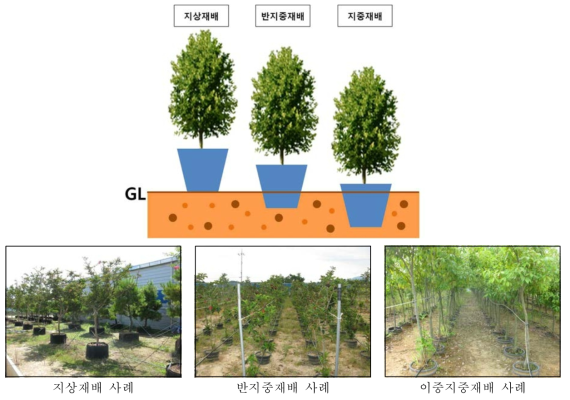 위치에 따른 컨테이너재배 방식