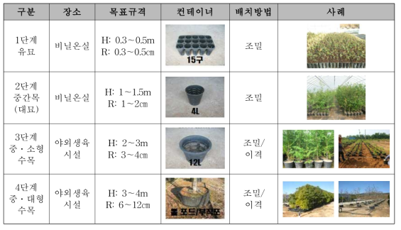 생장단계별 컨테이너 수목 생산체계