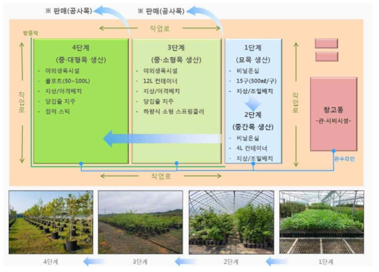 생장단계별 컨테이너 수목 대량생산체계 구축평면도
