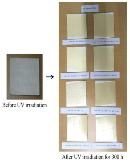 UV 조사 전-후 복합 분해성 발포 PS Sheet 외관