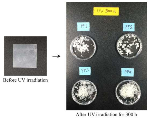 UV 조사 전-후 복합 분해성 PP 필름 외관