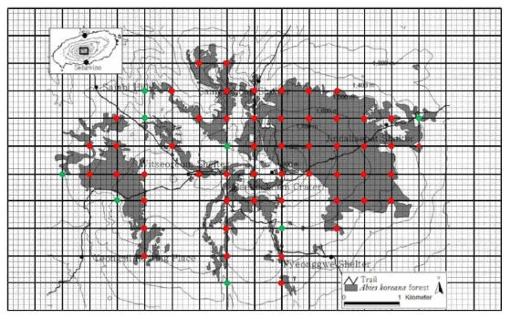 한라산 구상나무숲 분포에 따른 식생 정밀조사 표준지 선정방법