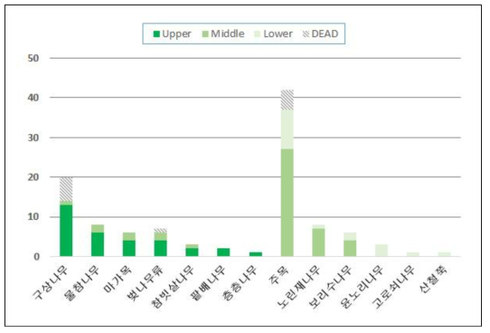 식생 정밀조사구 G06의 수종별 층위 분포 및 고사 현황 그래프