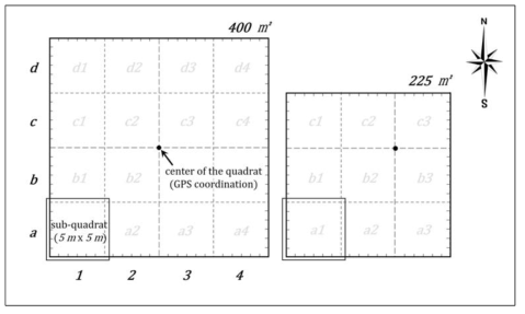 조사구별 방형구(quadrat) 설치 기준 및 단위조사구 배열 형태
