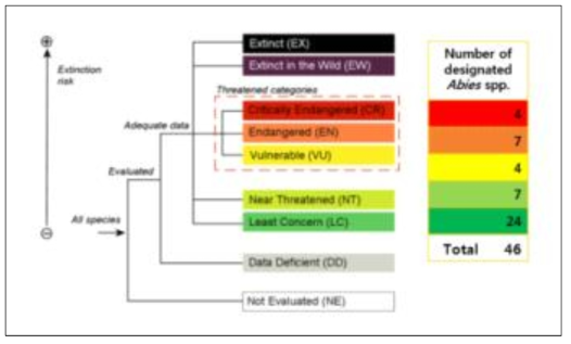 IUCN Red List 카테고리 및 각 카테고리별 전나무屬 등재종 수