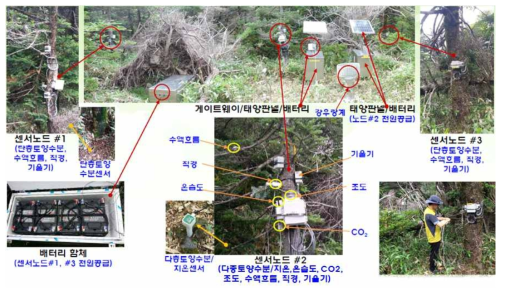 한라산 진달래밭 인근 연구지역에 설치된 센서