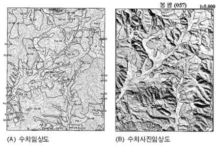 임상도