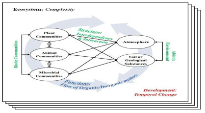 생태계 고유 속성(구조/기능/발달)에 대한 모식도