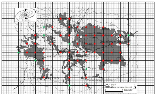 한라산 구상나무숲 현장조사 지점 선정 방법