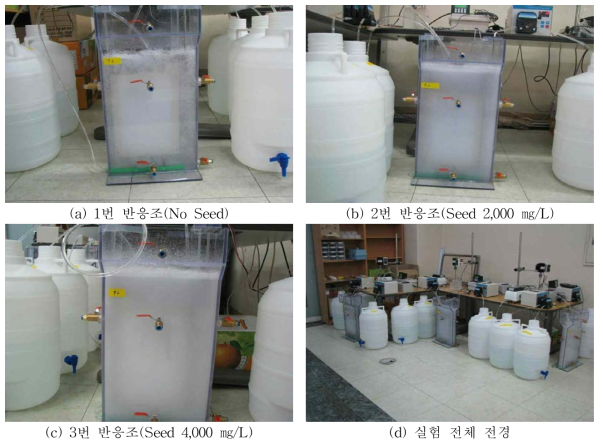 Seed 투입 유무에 따른 반응조 및 실험 전경