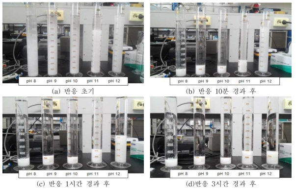 MAP 입자의 침전성 Test