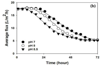pH 조건에 따른 72시간의 장기실험에서의 flux 변화.