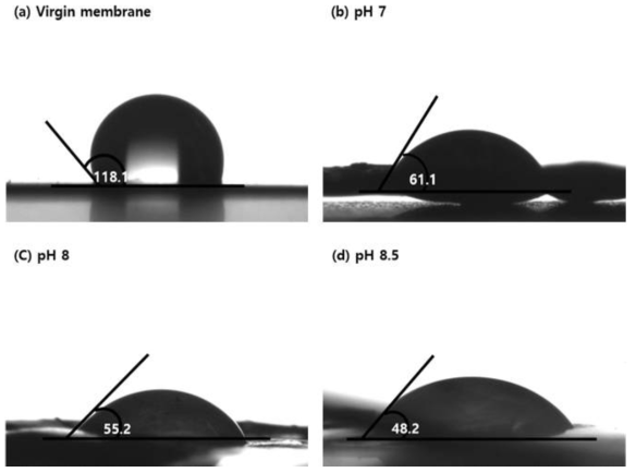 새 막과 오염된 막의 접촉각 측정 – 실험하기 전의 새 막