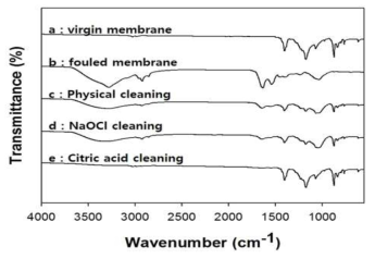 FT-IR분석을 통한 단계별 세정 효과 관찰