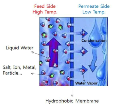 Membrane Distillation의 원리 및 물질 이동
