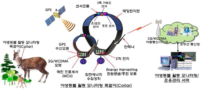 야생동물 활동 모니터링 시스템 구성도