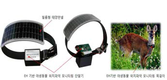 EH기반 야생동물 위치파악 모니터링 단말기 및 목걸이 1차 시제품