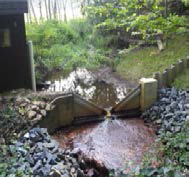 Forest Ecology Lab의 숲속 생성 물의 양 측정 시설