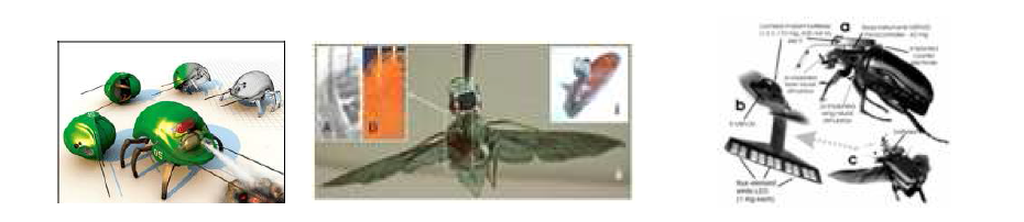 DARPA의 HI-MEMS, 코넬/미시건 대학의 Cyborg Beetle