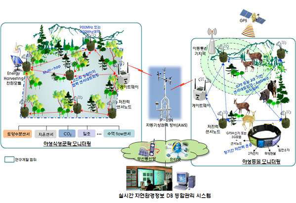 무선 센서네트워크 기반 야생동식물 생태계 모니터링 기능 구성도