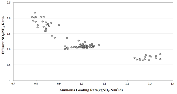 유입 암모니아 부하에 따른 유출수 내 NO2/NH4 비율 변화