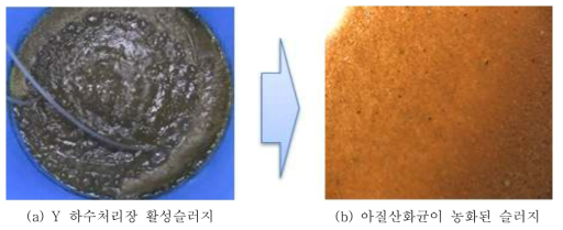 [보고서]미생물 그래뉼을 이용한 소화슬러지 탈리액의 고농도 질소 전처리 기술 실증화