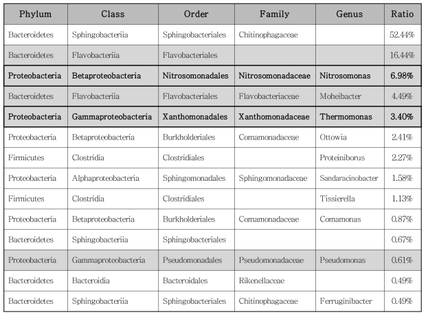 아질산화 그래뉼의 분자생물학적 분석결과