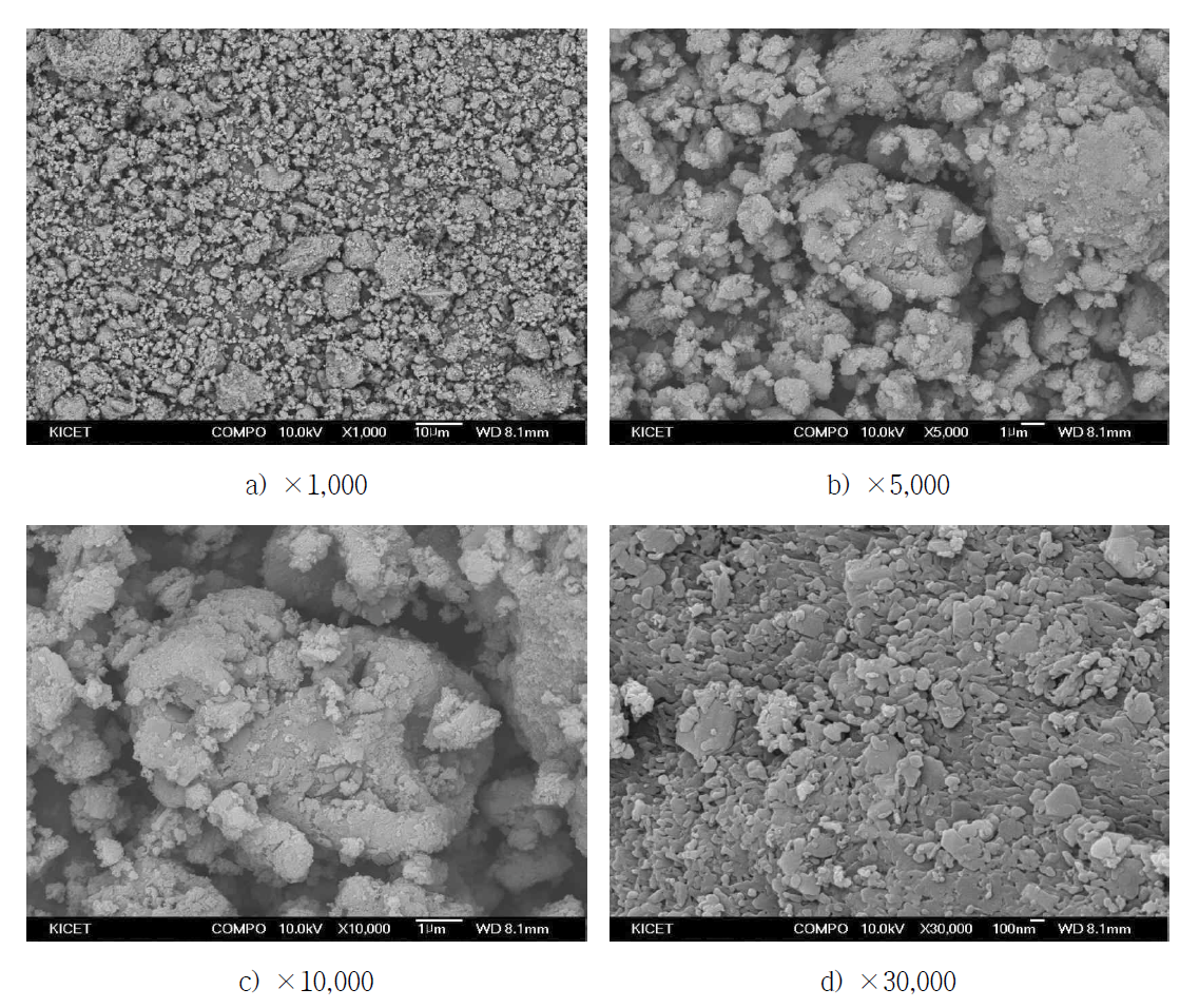 Sodium Aluminium Sulfate의 SEM사진