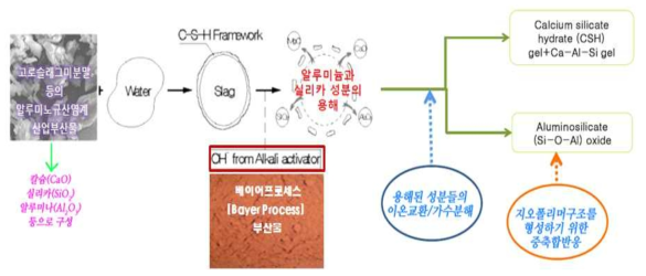 본 연구의 알칼리활성화 무시멘트 결합재의 수화메커니즘