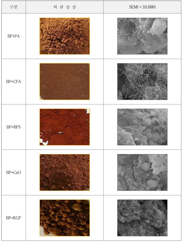BP부산물과 산업부산물의 혼합비율(50wt.%)에 따른 외관성상 및 내부SEM