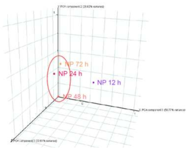 NP 노출시간별 차등 발현 유전자들에 대한 PCA 분석 결 과. 전체 차등 발현 유전자들 중 70.2%가 노출시간 특이적임