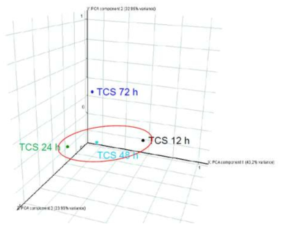 TCS 노출시간별 차등 발현 유전자들에 대한 PCA 분석 결 과. 전체 차등 발현 유전자들 중 64.1%가 노출시간 특이적임