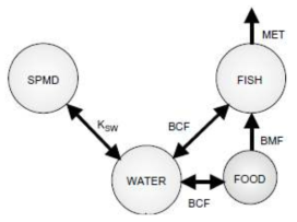 Semipermeable membrane devices (SPMD)와 Fish를 이용한 물 속 특이 화학물질 오염 유무 측정 수행 모식도