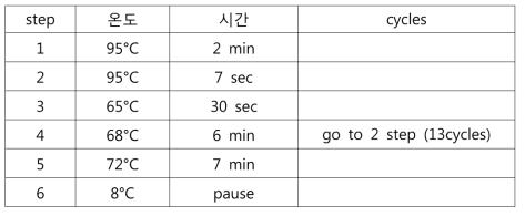 ds cDNA 합성하기 위해 PCR로 cDNA 증폭