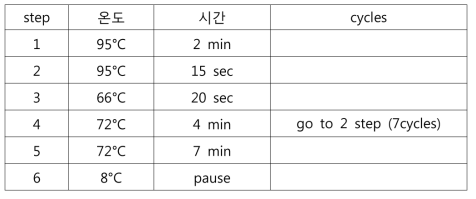 Normalized cDNA의 first amplification PCR 조건