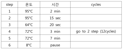 Normalized cDNA의 second amplification PCR 조건