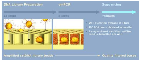 Deposition of amplified DNA beads